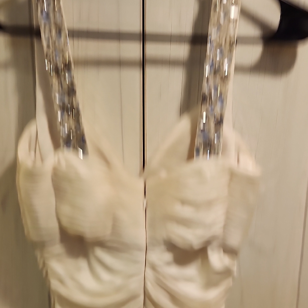 Cache Cream and Silver Backless Dress - Picture 7 of 11